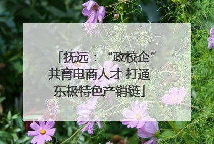 抚远：“政校企”共育电商人才 打通东极特色产销链