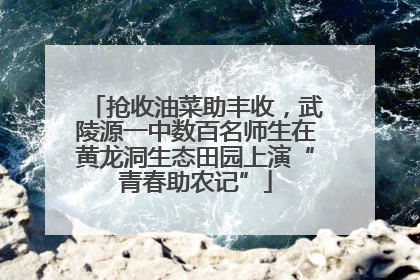 抢收油菜助丰收，武陵源一中数百名师生在黄龙洞生态田园上演“青春助农记”