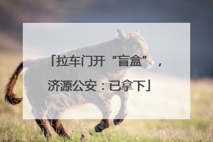 拉车门开“盲盒”，济源公安：已拿下