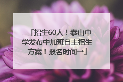 招生60人！泰山中学发布中加班自主招生方案！报名时间→