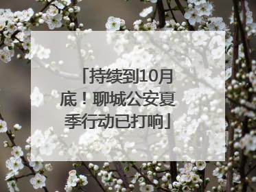 持续到10月底！聊城公安夏季行动已打响