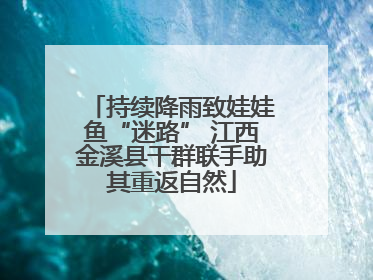 持续降雨致娃娃鱼“迷路” 江西金溪县干群联手助其重返自然