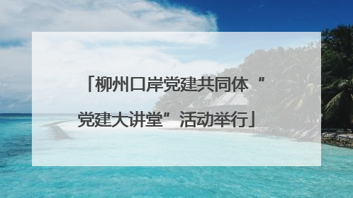 柳州口岸党建共同体“党建大讲堂”活动举行