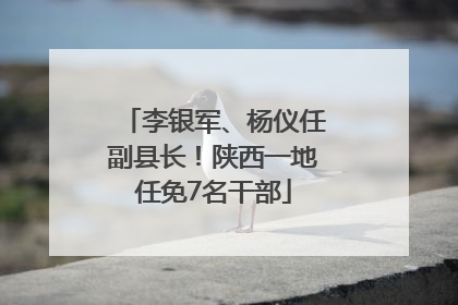 李银军、杨仪任副县长！陕西一地任免7名干部