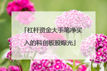 杠杆资金大手笔净买入的科创板股曝光