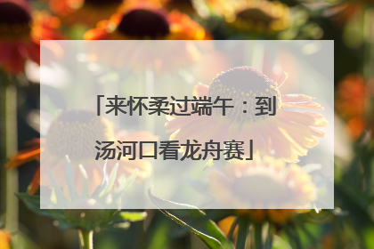 来怀柔过端午:到汤河口看龙舟赛