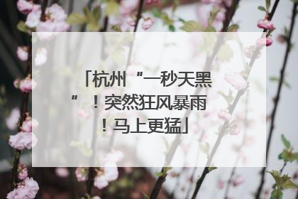 杭州“一秒天黑”！突然狂风暴雨！马上更猛