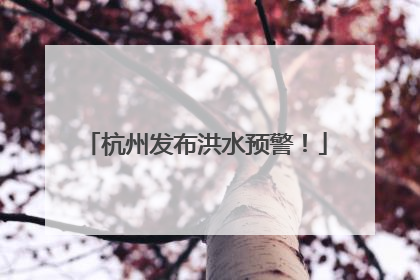 杭州发布洪水预警!