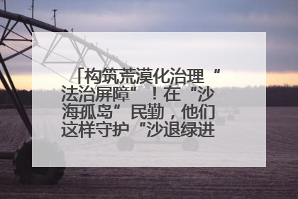 构筑荒漠化治理“法治屏障”！在“沙海孤岛”民勤，他们这样守护“沙退绿进”的生态奇迹