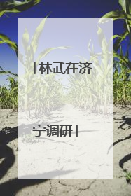 林武在济宁调研