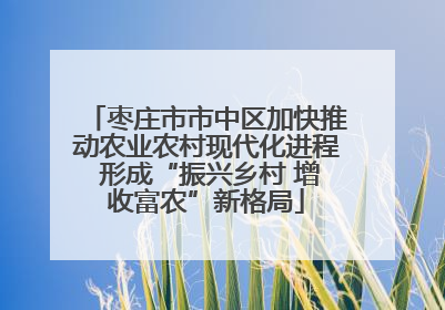 枣庄市市中区加快推动农业农村现代化进程 形成“振兴乡村 增收富农”新格局