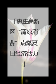 枣庄高新区“清凉消费”点燃夏日经济活力