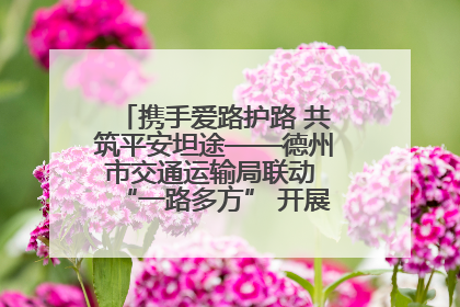 携手爱路护路 共筑平安坦途——德州市交通运输局联动 “一路多方” 开展路政宣传月活动