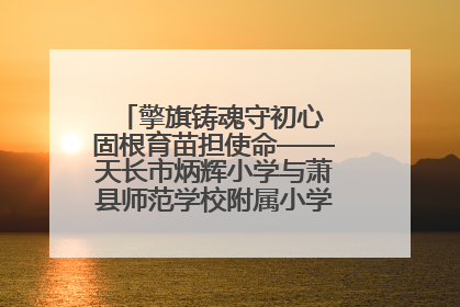 擎旗铸魂守初心 固根育苗担使命——天长市炳辉小学与萧县师范学校附属小学结对共建活动纪实