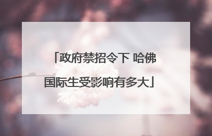 政府禁招令下 哈佛国际生受影响有多大