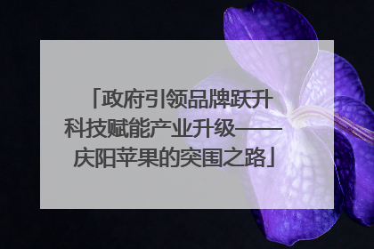 政府引领品牌跃升 科技赋能产业升级——庆阳苹果的突围之路