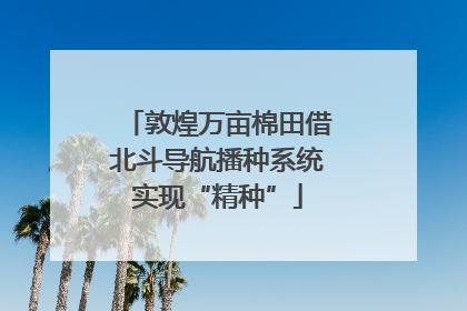 敦煌万亩棉田借北斗导航播种系统实现“精种”