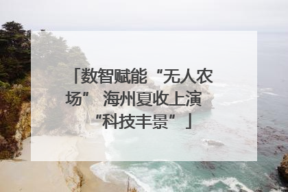 数智赋能“无人农场” 海州夏收上演“科技丰景”