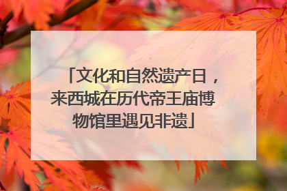 文化和自然遗产日，来西城在历代帝王庙博物馆里遇见非遗