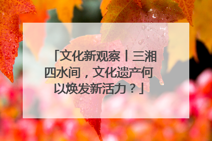 文化新观察丨三湘四水间，文化遗产何以焕发新活力？