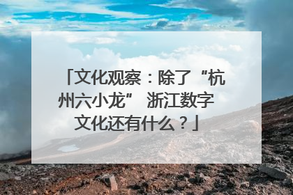 文化观察：除了“杭州六小龙” 浙江数字文化还有什么？