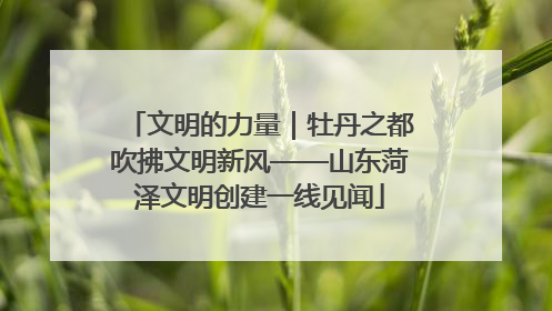文明的力量｜牡丹之都吹拂文明新风——山东菏泽文明创建一线见闻