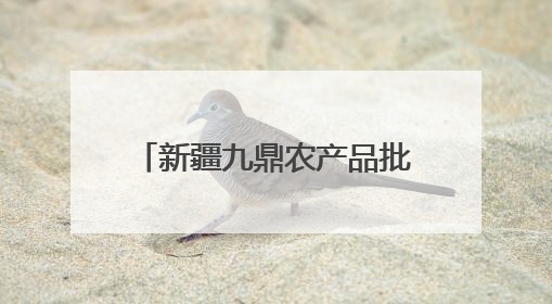 新疆九鼎农产品批发市场：筑牢民生保障，打通丝绸之路农产品贸易枢纽