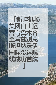 新疆机场集团自主运营乌鲁木齐至乌兹别克斯坦纳沃伊国际货运航线成功首航