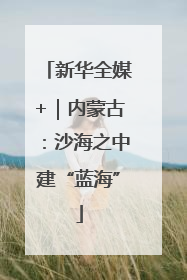 新华全媒+｜内蒙古：沙海之中建“蓝海”