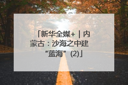 新华全媒+｜内蒙古：沙海之中建“蓝海”(2)
