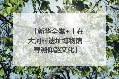 新华全媒+丨在大河村遗址博物馆寻溯仰韶文化