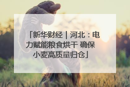新华财经｜河北：电力赋能粮食烘干 确保小麦高质量归仓