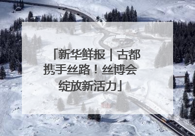 新华鲜报｜古都携手丝路！丝博会绽放新活力
