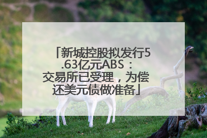 新城控股拟发行5.63亿元ABS：交易所已受理，为偿还美元债做准备