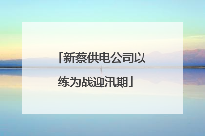 新蔡供电公司以练为战迎汛期