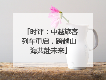 时评：中越旅客列车重启，跨越山海共赴未来