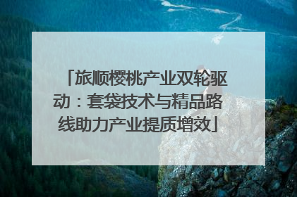 旅顺樱桃产业双轮驱动：套袋技术与精品路线助力产业提质增效