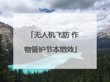 无人机飞防 作物管护节本增效