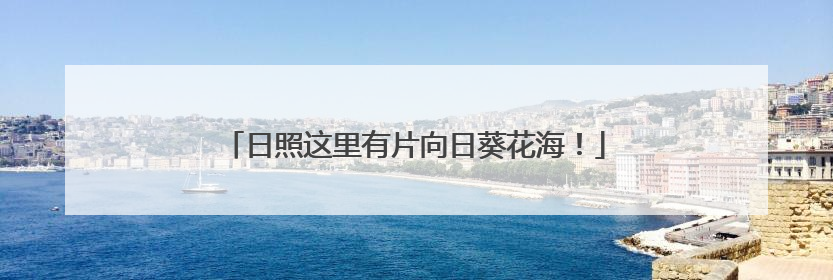 日照这里有片向日葵花海！