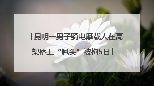 昆明一男子骑电摩载人在高架桥上“翘头”被拘5日