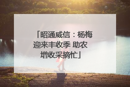 昭通威信：杨梅迎来丰收季 助农增收采摘忙