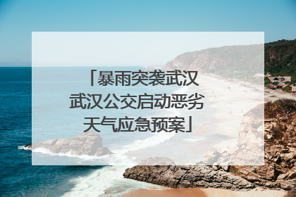暴雨突袭武汉 武汉公交启动恶劣天气应急预案