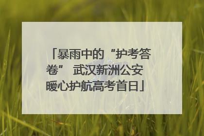 暴雨中的“护考答卷” 武汉新洲公安暖心护航高考首日