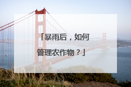 暴雨后，如何管理农作物？
