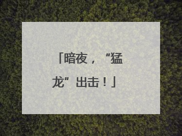 暗夜，“猛龙”出击！