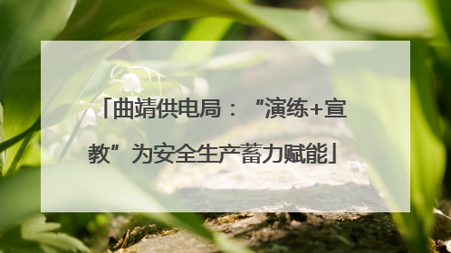 曲靖供电局：“演练+宣教”为安全生产蓄力赋能