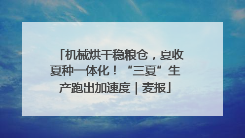 机械烘干稳粮仓，夏收夏种一体化！“三夏”生产跑出加速度｜麦报