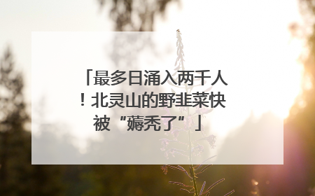 最多日涌入两千人！北灵山的野韭菜快被“薅秃了”