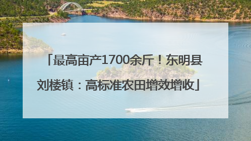 最高亩产1700余斤！东明县刘楼镇：高标准农田增效增收