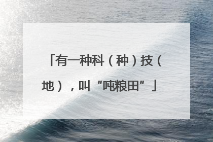 有一种科（种）技（地），叫“吨粮田”